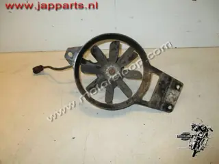 Kawasaki ER-5 Koelvin