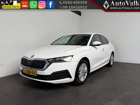 Škoda Octavia 1.0 TSI Ambition (bj 2021)