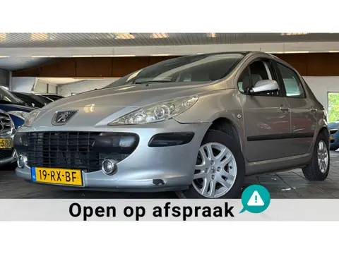 Peugeot 307 1.6-16V XT|APK02-27|NweDBriem|Nettestaat|Airco|Cruise|Trekhaak|