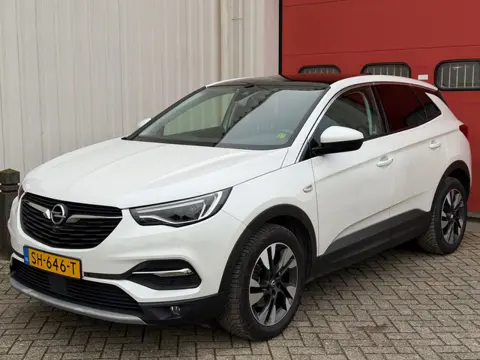 Opel Grandland X 1.2 Turbo Innovation Wit 1e Eigenaar Airco Camera Pano NAP