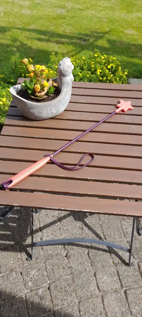 Fouganza Rijzweep roze voor paardrijden