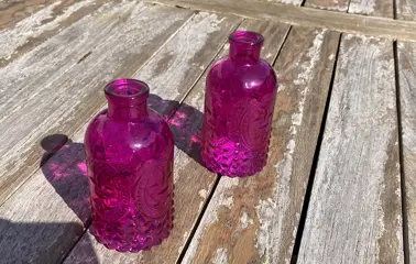 VAASJE PINK MET FRANSE LELIE NIEUW