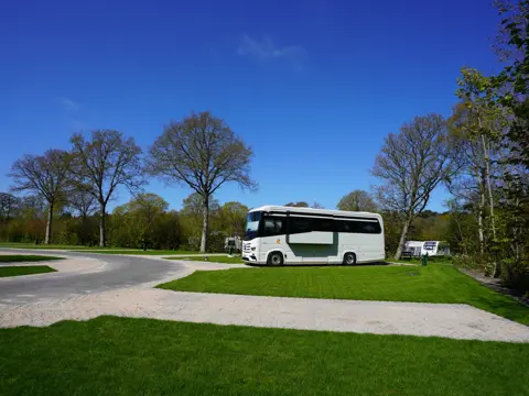 Ontwaken en kamperen op rustige plek midden in het bos