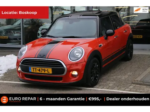 Mini Mini 1.5 One Salt PANO-DAK NL-AUTO NAP!