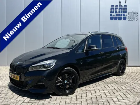 BMW 2 Serie Gran Tourer 220i Automaat 7-persoons High Executive Launch Edition M-Sport Trekhaak lede