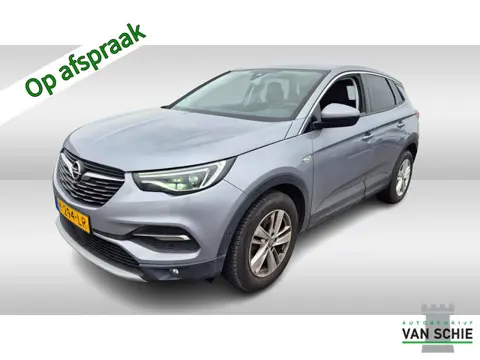Opel Grandland X 1.2 Turbo Business Elegance 1e-Eig. & Keurig-Onderh. BOVAG-Garantie. NL-Auto