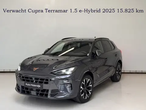 CUPRA Terramar 1.5 TSI PHEV e-Hybrid / Memory / el. klep/ HuD / virtual / 5jr Garantie