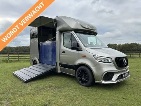 Mercedes-Benz Sprinter 317 AMG 2-paards paardenvrachtwagen B-rijebewijs
