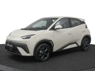 BYD DOLPHIN SURF Boost 43 kWh