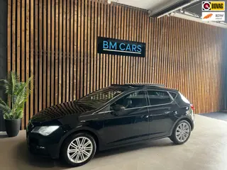 Seat Leon 1.5 TSI Xcellence Business DSG, Panodak