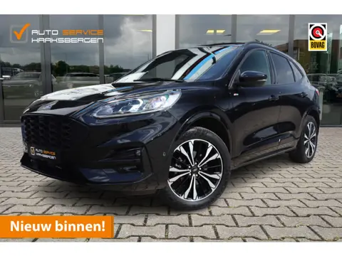 Ford Kuga 2.5 PHEV ST-Line X | ACC | B&O | Camera |
