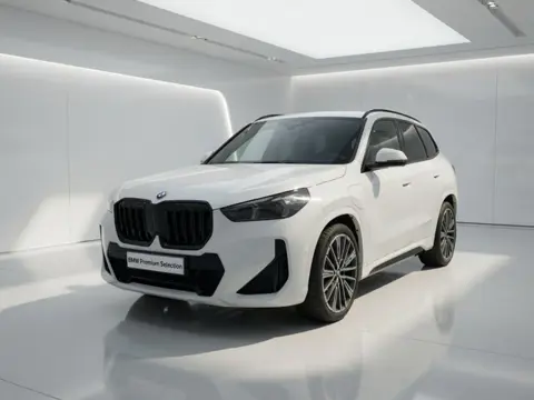 BMW X1 xDrive25e M-Sport | Panorama | Harman Kardon | 20"