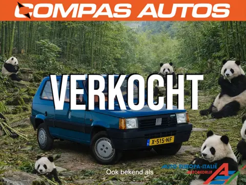 Fiat Panda 750 L | Unieke Klassieker in wording (bj 1991)