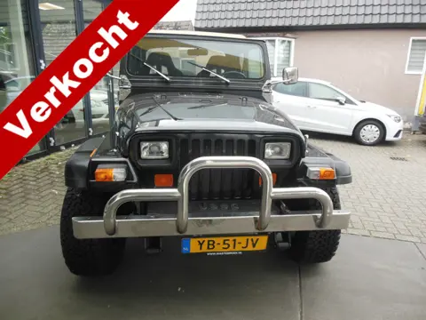 Jeep Wrangler 2.5 Hardtop Staat in de Krim (bj 1990)
