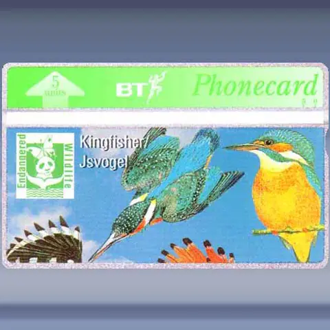 IJsvogel (mei-1994)