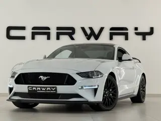 Ford Mustang 5.0 V8 GT Performance WEEKACTIE (bj 2020)