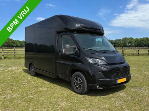 Fiat Ducato 3.65T C1-Rijbewijs 2-paards paardenvrachtwagen Automaat
