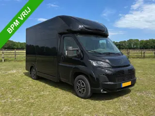 Fiat Ducato 3.65T C1-Rijbewijs 2-paards paardenvrachtwagen Automaat
