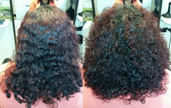 Dé Krullen specialist voor krullenbollen in Oost Nederland