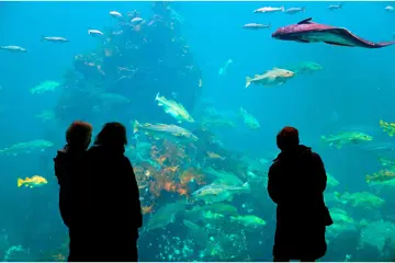 2D Atlanterhavsparken Aquarium en Alesund (01nov - 31mrt)