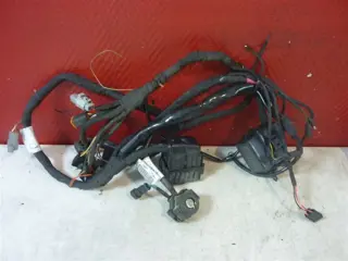 KABELBOOM Buell 1125 2008 - 2009