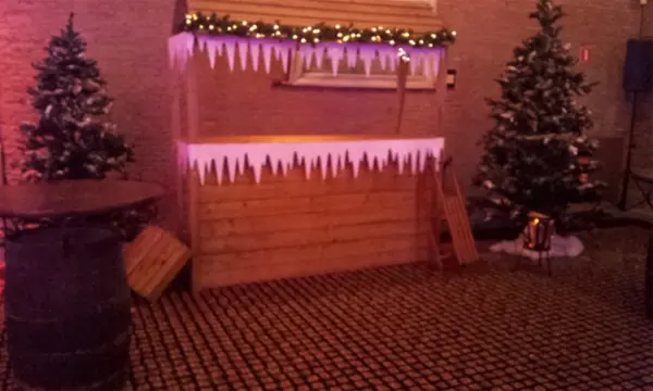 Winterdecor apres sk decor levensgroot hert