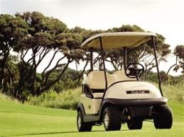 Nieuwe semi tractie accu voor golfkar