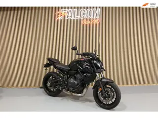 Yamaha MT-07 - 2024 - Akrapovic - Handvat Verwarming - Bar End Spiegels
