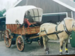 Mooie in antieke stijl gebouwde huifwagen