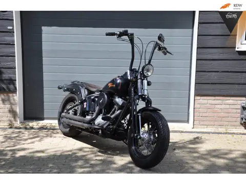Harley Davidson FLSTSB Cross Bones 96