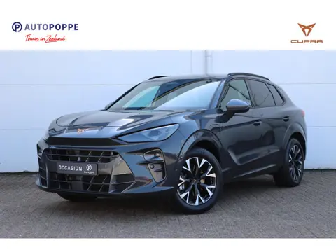 CUPRA Terramar 1.5 TSI e-Hybrid Business 204pk DSG6