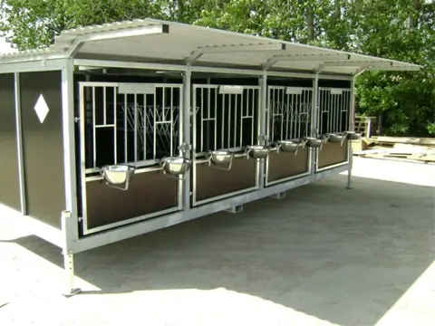 Kalver iglo box huisvesting hok stal
