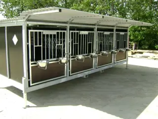 Kalver iglo box huisvesting hok stal