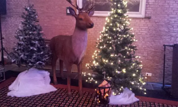 Apres ski decoratie Arreslee winterdecor verhuur Rendier