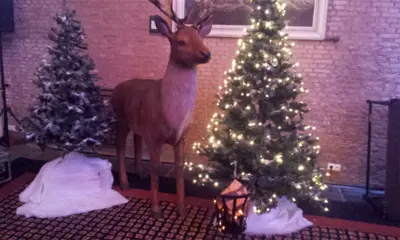 Apres ski decoratie Arreslee winterdecor verhuur Rendier