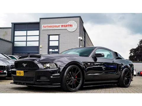 Ford USA Mustang 3.7 VS Coupé | Maxton Pakket | Super Snake Motorkap | Shelby Look | Camera | Blueto
