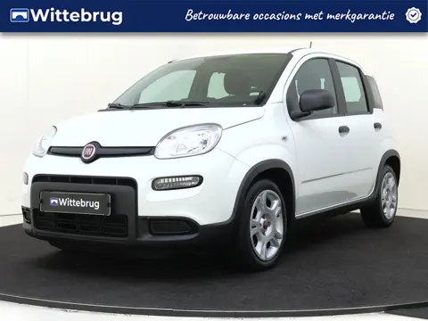 Fiat Panda 1.0 Hybrid (bj 2023)