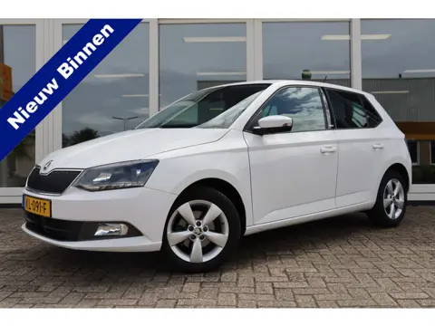 Škoda Fabia 1.2 TSI JOY, Airco, Cruise, Bleutooth, Prijs Is Rijklaar Inclusief 6 Maanden Garantie