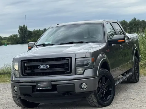Ford USA F150 FX4 5.0L V8, 1E EIG, LAGE BIJTELLING, MARGE OF BTW, 166K KM, F-150