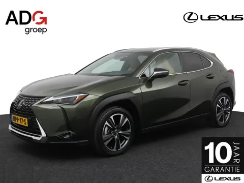 Lexus UX 250h Luxury Line | Limited | Lederen bekleding | Elektrisch bedienbare achterklep | Afn. Tr