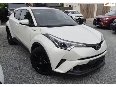 Toyota C-HR 1.8 Hybrid Black Edition|Leder|Navi