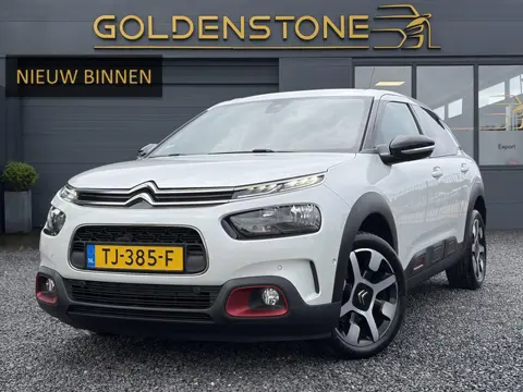 Citroen C4 Cactus 1.2 PureTech Shine 131pk,6 Bak,D-riem vv in 204,Pano,Trekhaak,Camera,Navi,Dodehoek