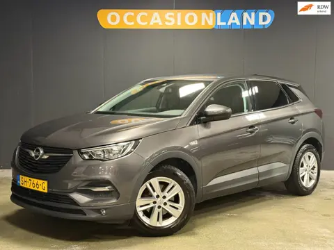 Opel Grandland X 1.2 Turbo Online Edition|PDC|CRUISE|SFEER|CARPLAY|BLUETOOTH|17INCH|