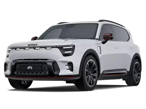 smart #5 Brabus 100 kWh ZOMER DEALS! | Van € 63.460,- voor € 58.960,- | Panoramadak | Elektrische st