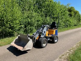 Giant D254SW TELE telescooplader (bj 2017)