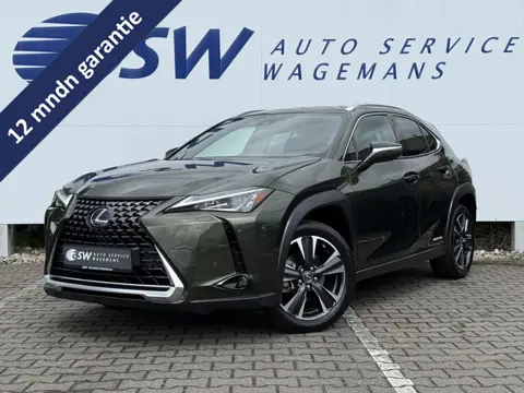 Lexus UX 250h Preference Line | ACC | CarPlay | LED | Keyless | 18 inch