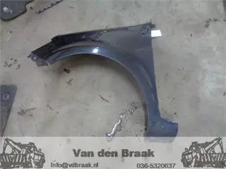 Renault Clio 2005-2013 Spatbord links voor