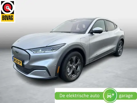 Ford Mustang Mach-E Extended RWD 98 kWh | SOH 97% | WLTP 610km rijbereik| Panoramadak | tech. plus p