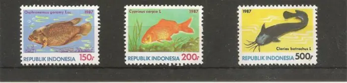 Vissen, uit Indinesie