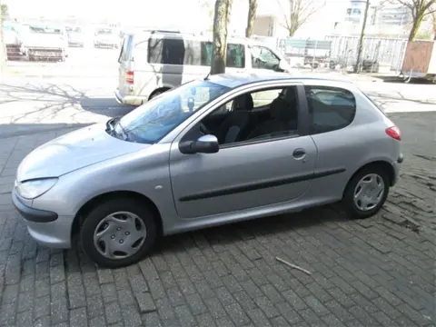 Peugeot 206 19 xtd Bouwjaar 2000 Plaatwerk los op voorraad